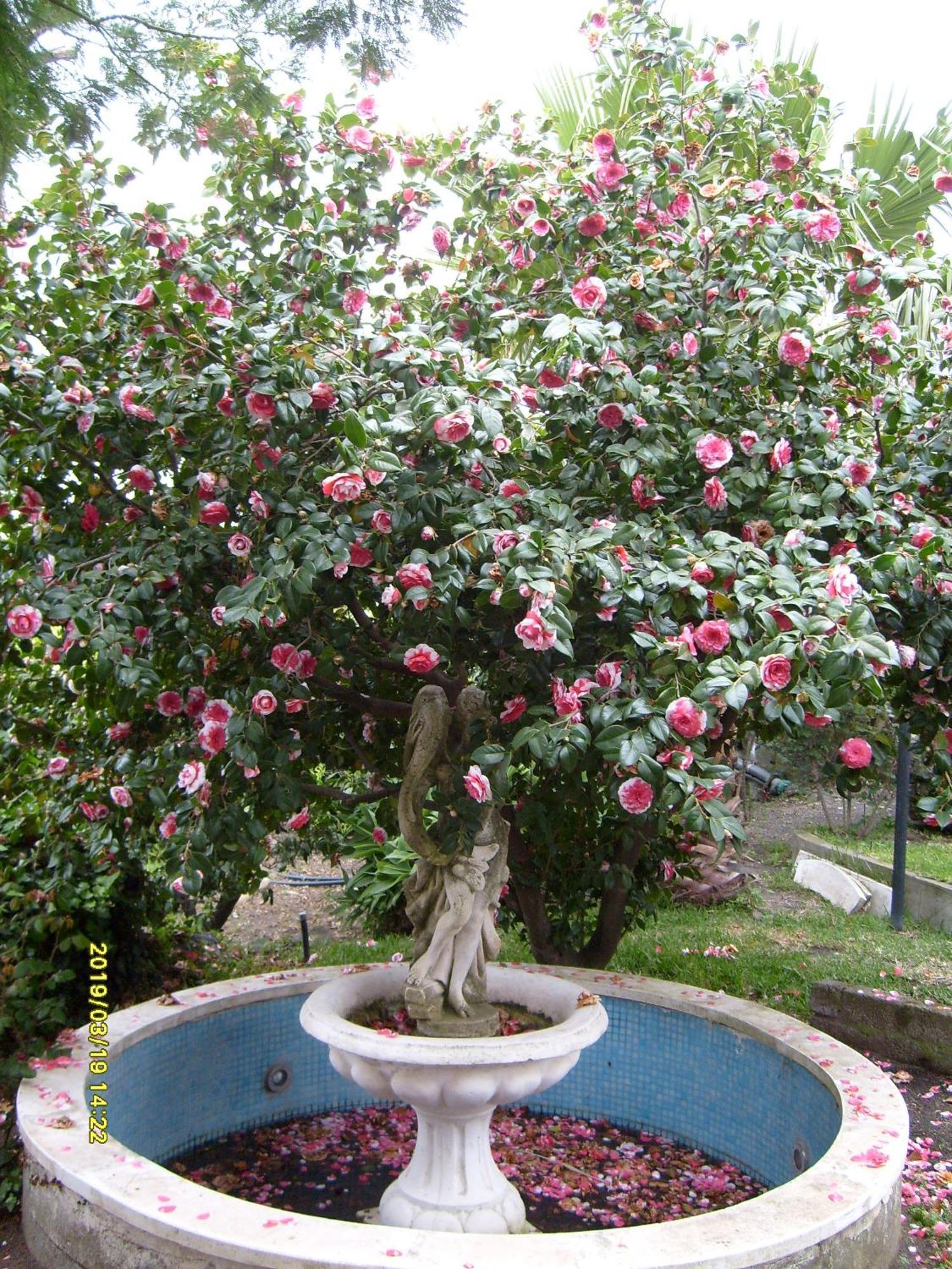 Il Ciliegio Dell 'Etna Guest House Giarre Exterior photo